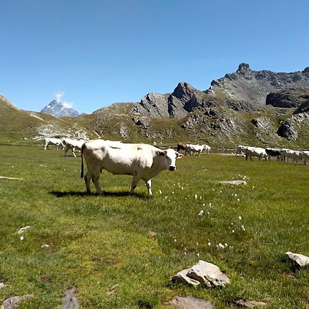 Agriturismo Ciambun Sampeire Bagian luar foto