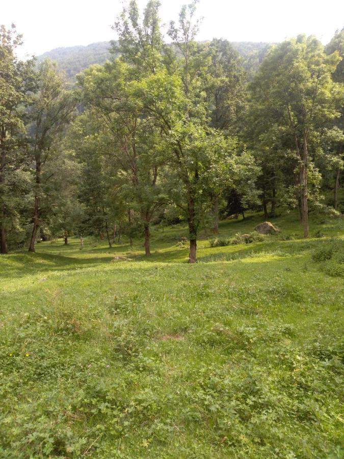 Agriturismo Ciambun Sampeire Bagian luar foto