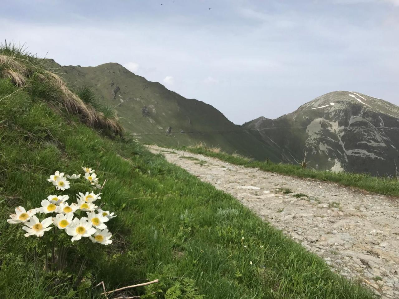 Agriturismo Ciambun Sampeire Bagian luar foto