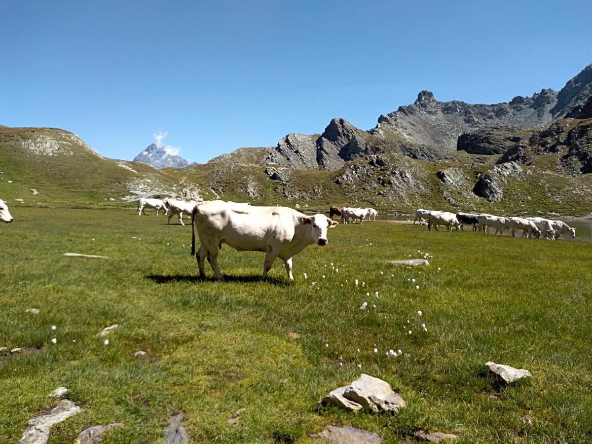 Agriturismo Ciambun Sampeire Bagian luar foto